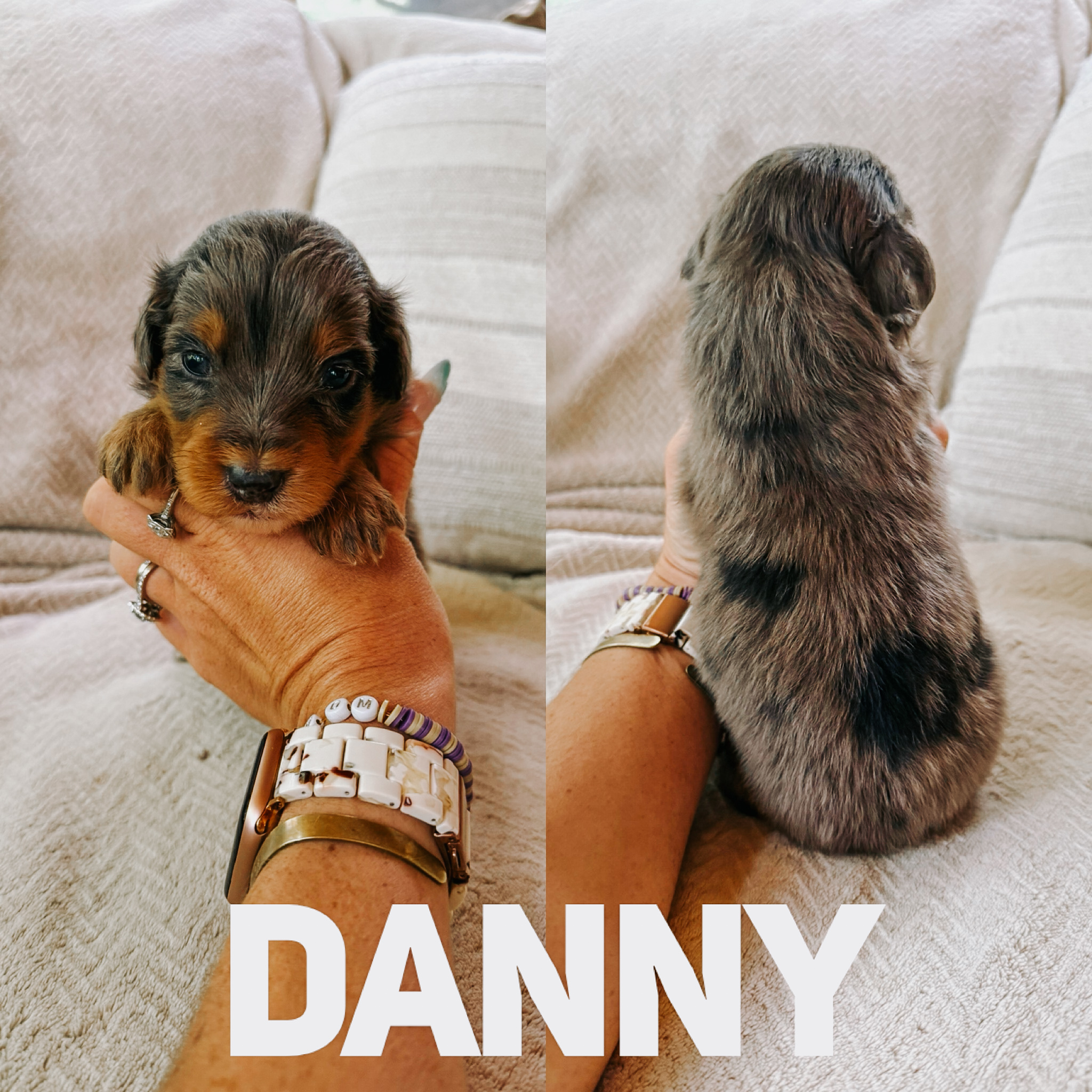 Danny 2